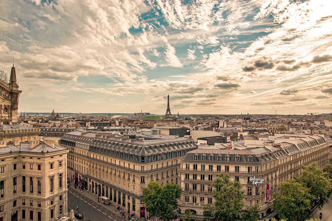 Paris from the bird view